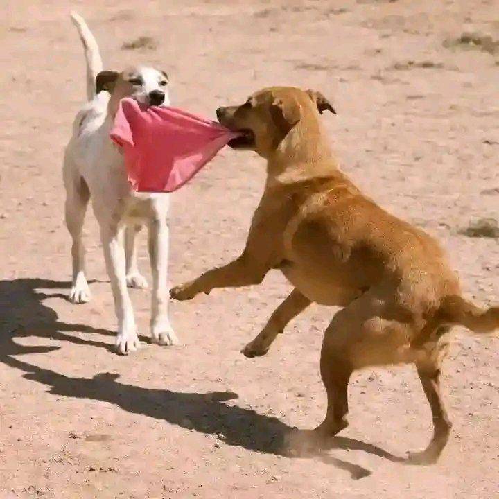 Wht can u say about this 😂🤣