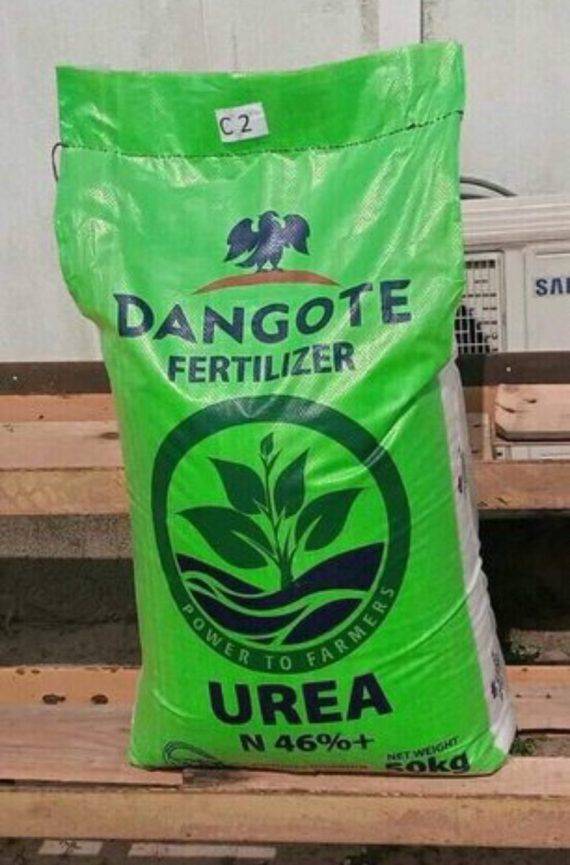 Makgromart Agro Services is a bulk distributor of Dangote Fertilizers in Nigeria.
Contact us today...