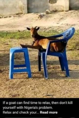 pls try dey rest small ooh