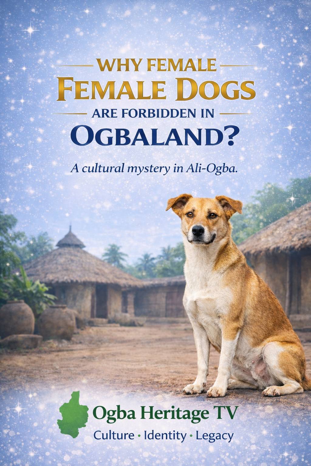 Why Female Dogs Were Traditionally Forbidden in Ali-Ogba
If you grew up in Ali-Ogba, you probably h...
