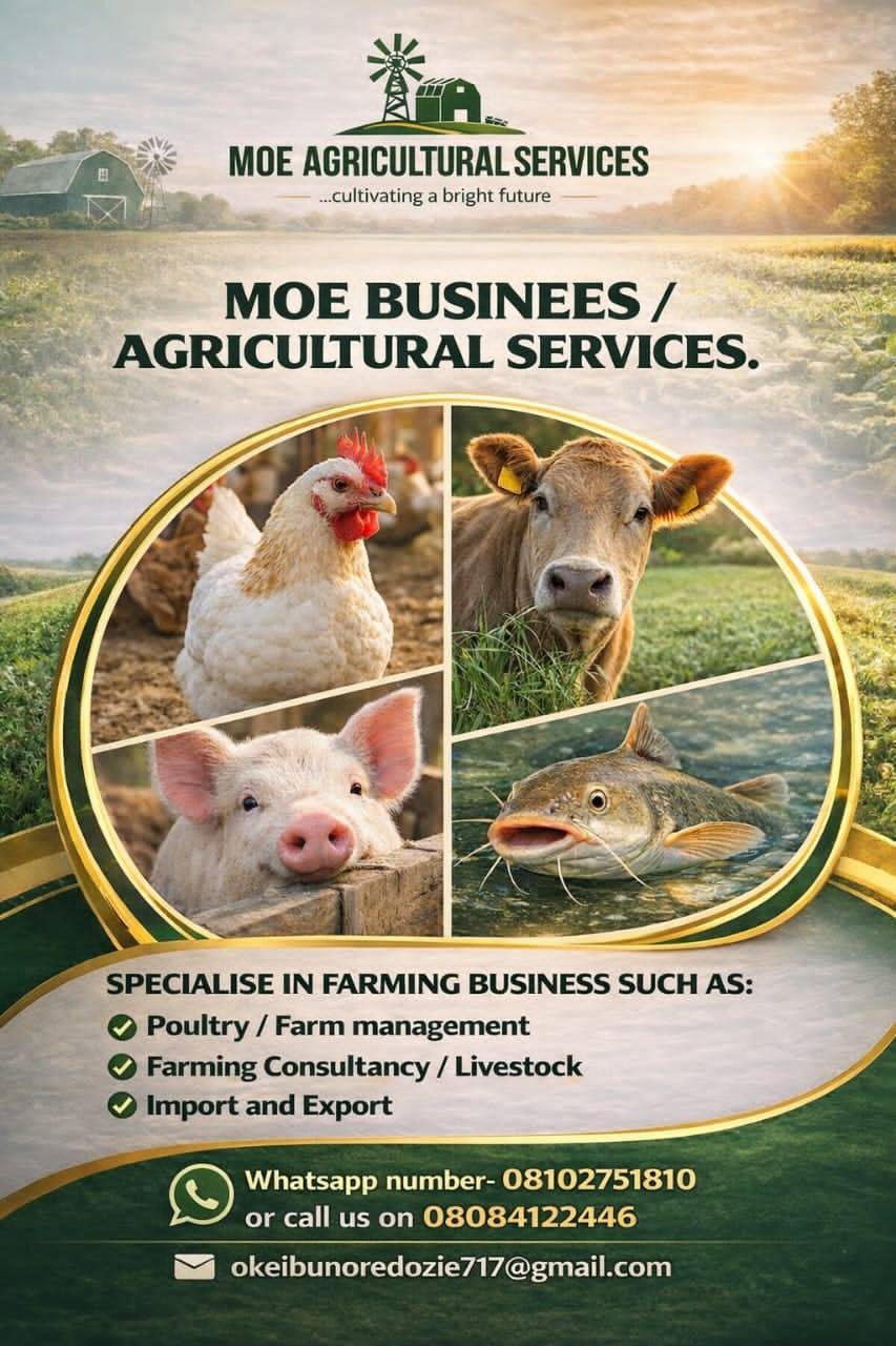 Contact us today