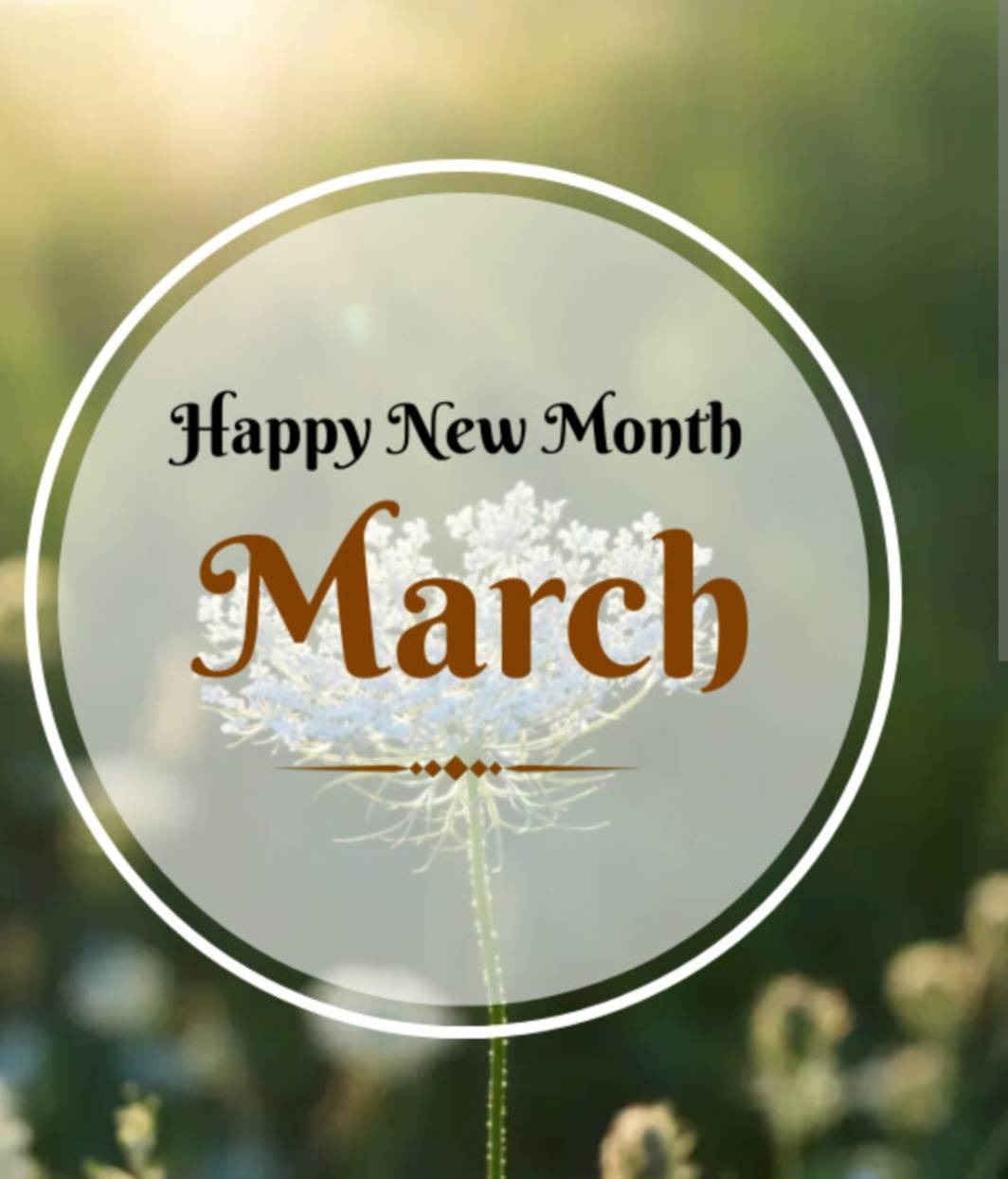Happy new month family