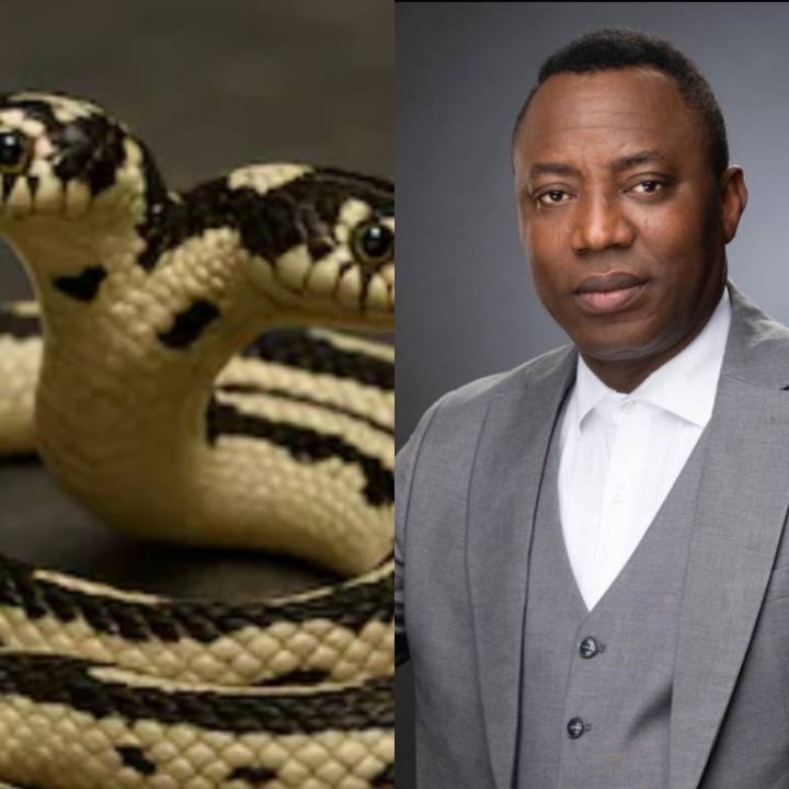 Sowore is a venomous person wit a duplicitous nature, making it difficult to discern his intentions....