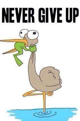 No matter what you are going through right now, never give up! Keep pressing forward, keep the faith...