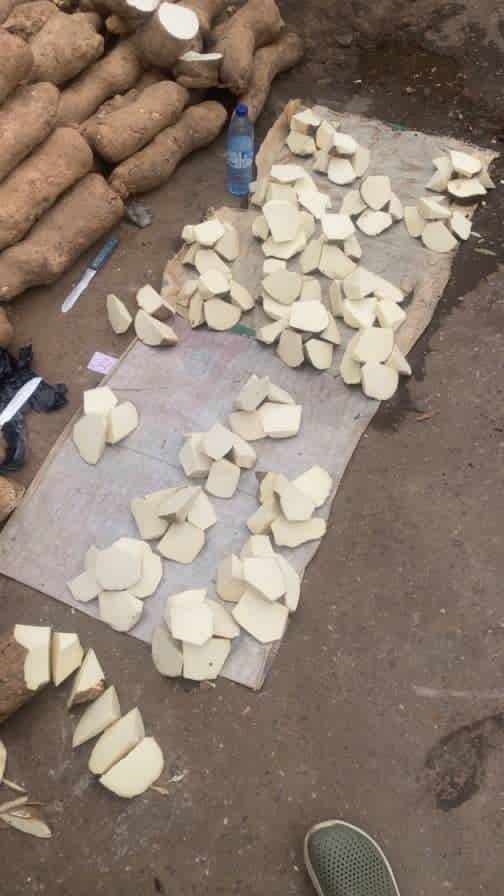 Nigerians can no longer afford a tuber of yam. I've never seen this in my life.