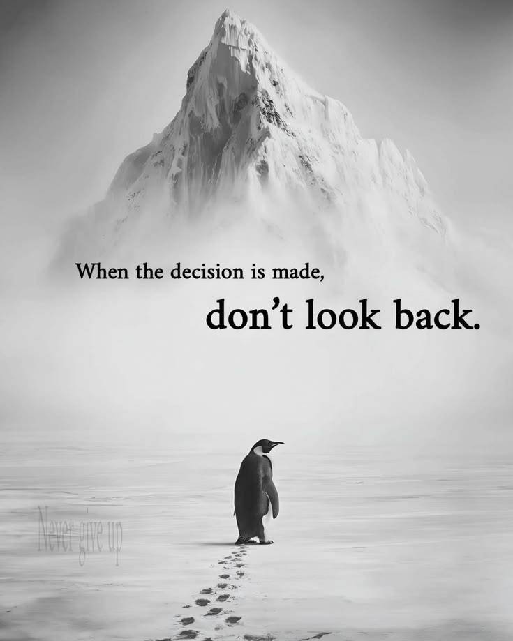 NEVER LOOK BACK:
