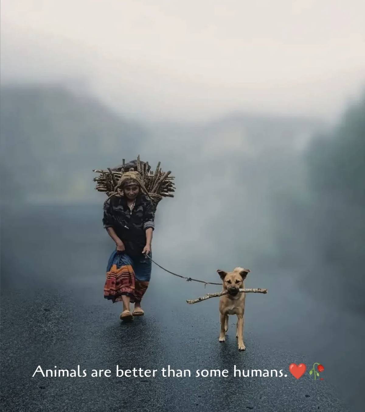 TRUE: