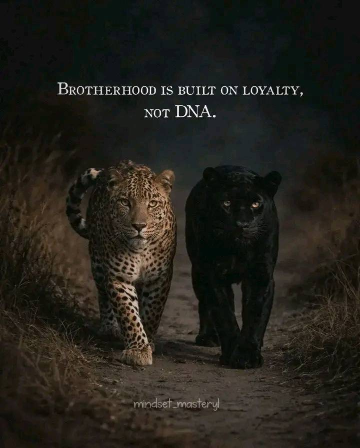 LOYALTY not BLOOD: