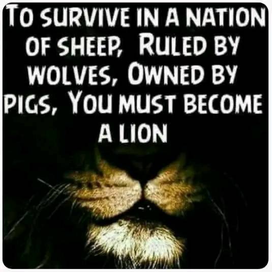 JUST SURVIVE: