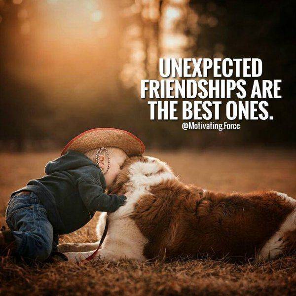 FRIENDSHIP....... can be with anyone or anything.
