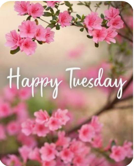 Good morning great Community of LekeeLekee, we thank God for another day of hustling may the Lord bl...