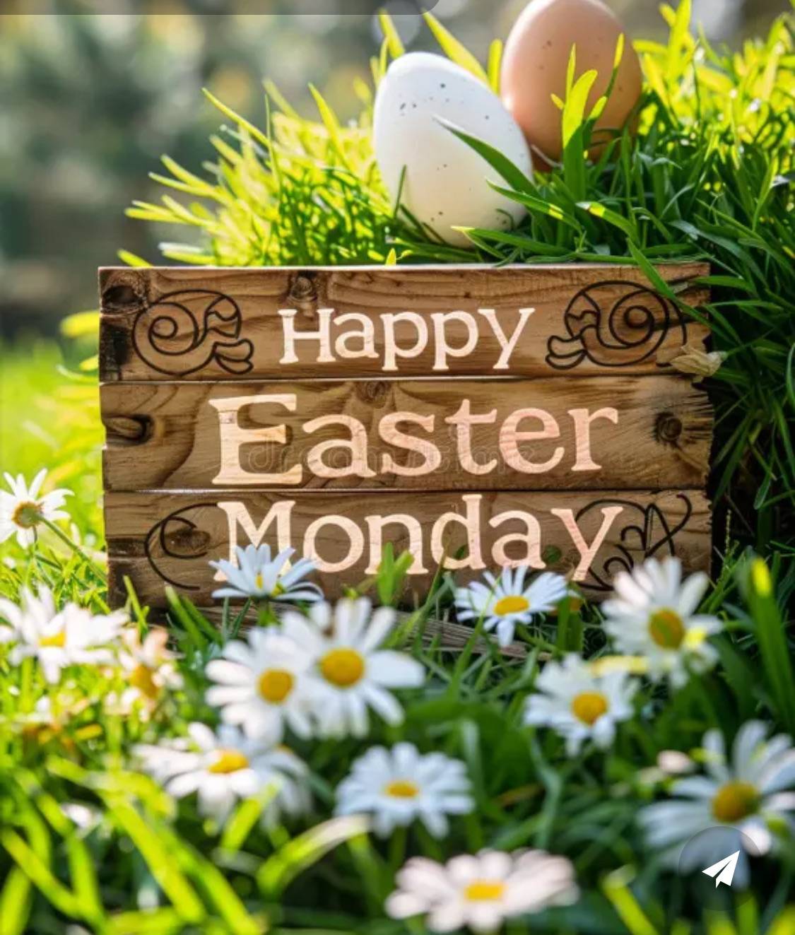 Wishing you and your family a happy Easter Monday this spring season. Today find someone to share th...
