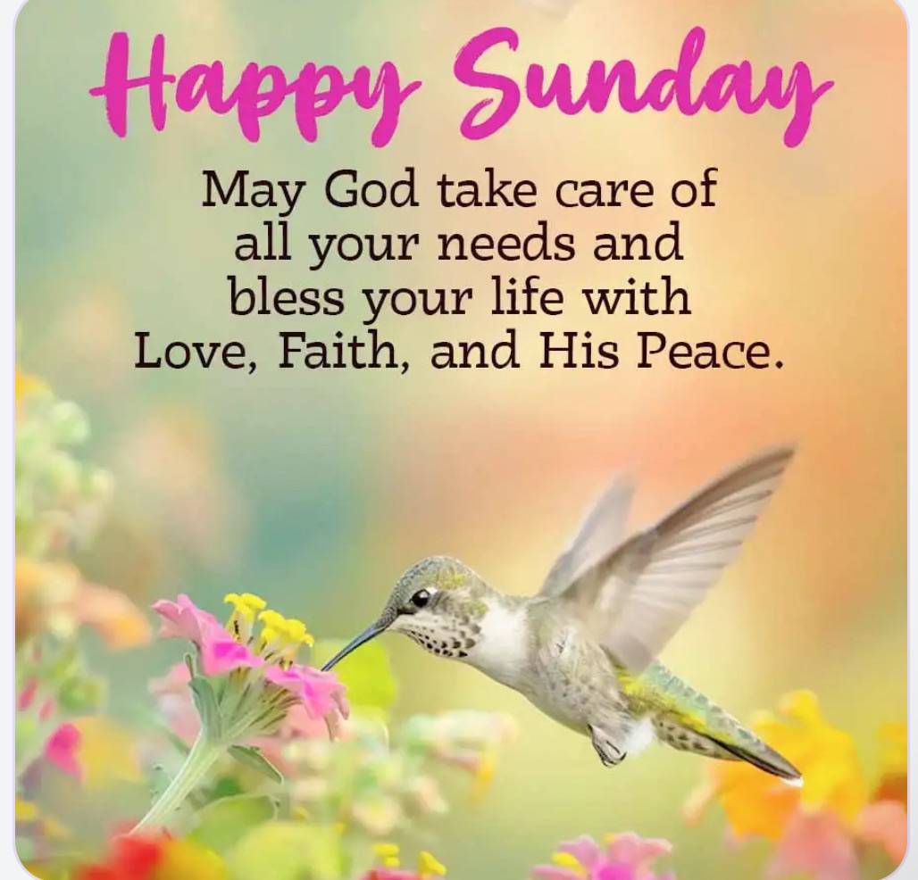 Happy Sunday great Family, Stop giving energy to what drains you and shift your focus on nourishing...