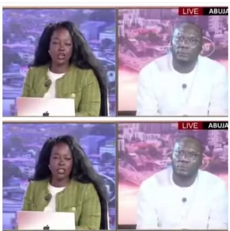 Between Adesuwa, the Arise TV presenter and spokesperson
Adesuwa: Are food, fuel, and electricity ch...