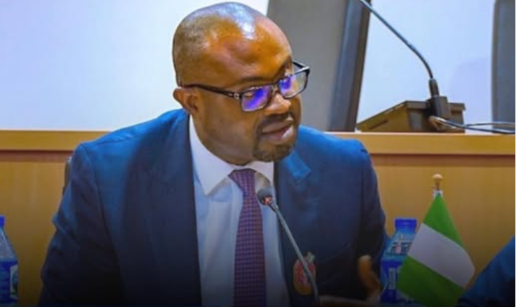 FG enforces stricter rules, revokes passports of Nigerians who renounce citizenship
The Minister of...