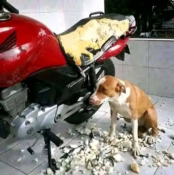 A very short story..๐คฃ๐คฃ๐๐
