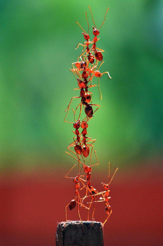 Alone we can do little but together we can do much more..
Collaboration with aligned people...
@mil...