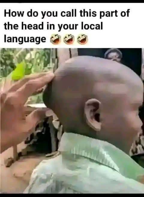 What do we call this part of the head