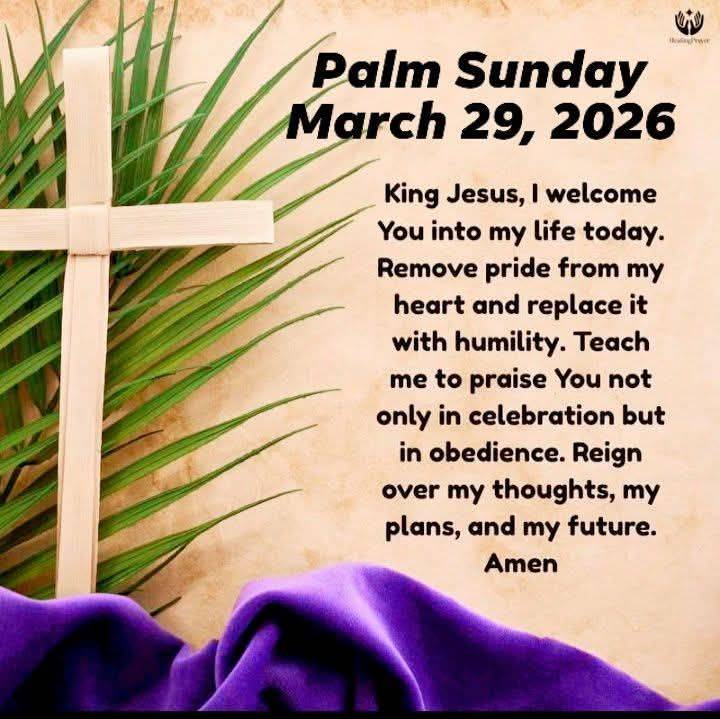 The Victory of the Cross was signified through the trumphant entry on Palm Sunday