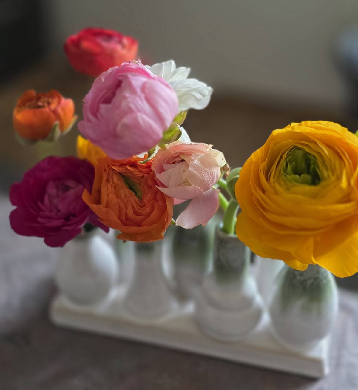 A purposeful and fruitful April #Spring