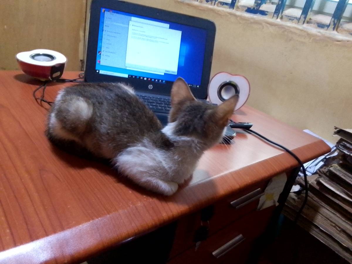Stay curious. Stay focused. Even the smallest learner can sit before big opportunities and grow ever...