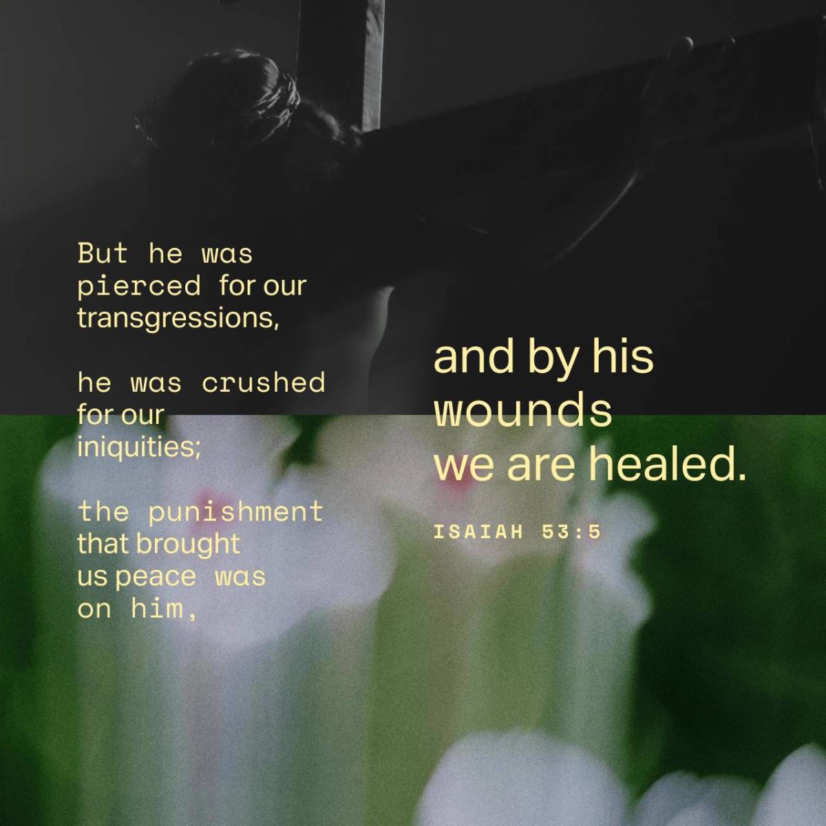 You gave your life so that we could be forgiven...
May your death bring us eternal life, forgiveness...
