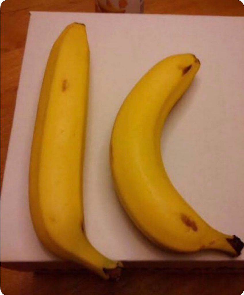 which do you prefer?