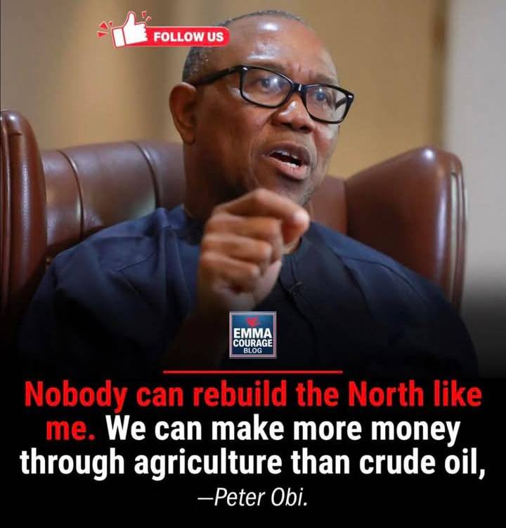 BOLD CLAIM: Peter Obi has said agriculture could generate more revenue than crude oil if properly ha...