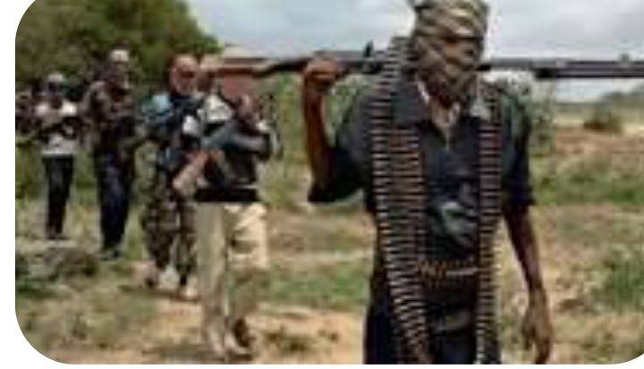 Suspected terrorists attacked the Ariko community in Kaduna State, killing at least seven people and...