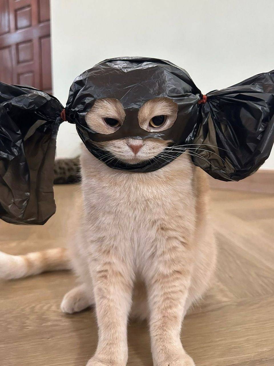 I just want to see the evil myself I no wan hear from people anymore 🤲🤲