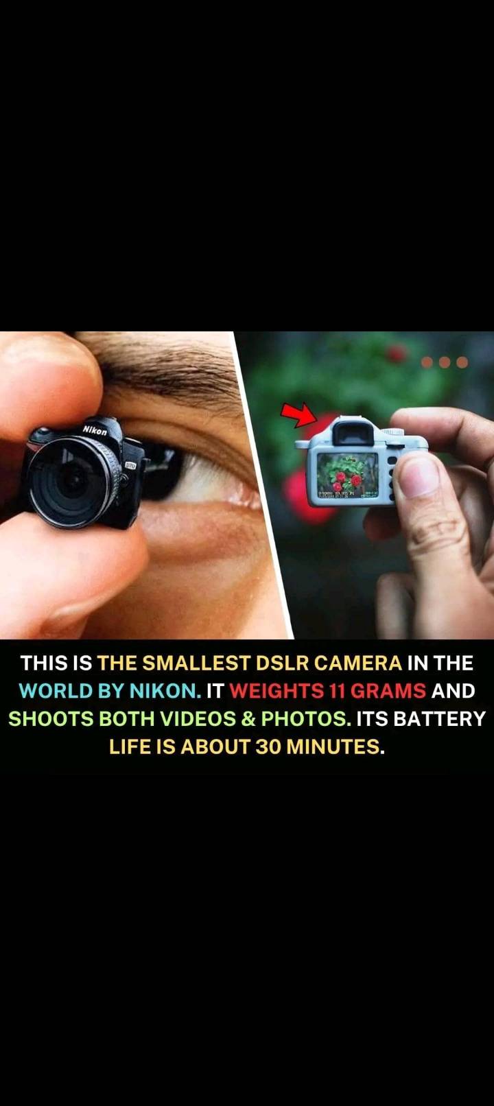 World's smallest camera
#LekeeLekee