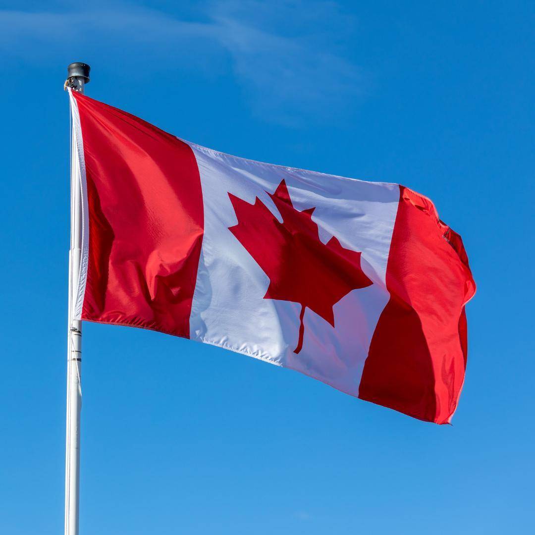 🇨🇦 NEW: Bank of Canada and the country’s major banks completed their first tokenized bond trial.