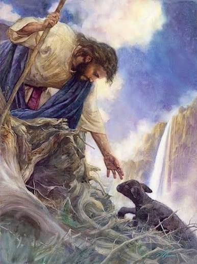 A Prayer for Peace
God, You know that I need You. I’m sorry for all the times I’ve pretended that I...