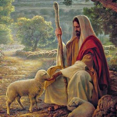 I'd love to share today's prayer with you!
Following the Good Shepherd
Lord, You are my Good Sheph...