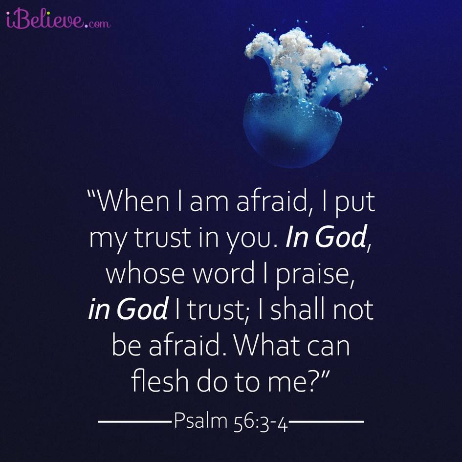 I'd love to share today's prayer with you!
Dealing with Fear
God, please help me to trust in You w...