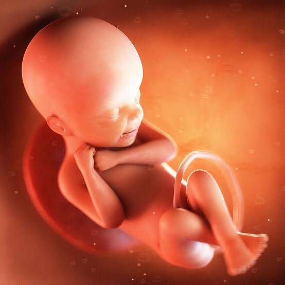 ARE YOU TRULY RESPONSIBLE FOR THE CHILD?
You had an affair with a woman and disposed of the condom...