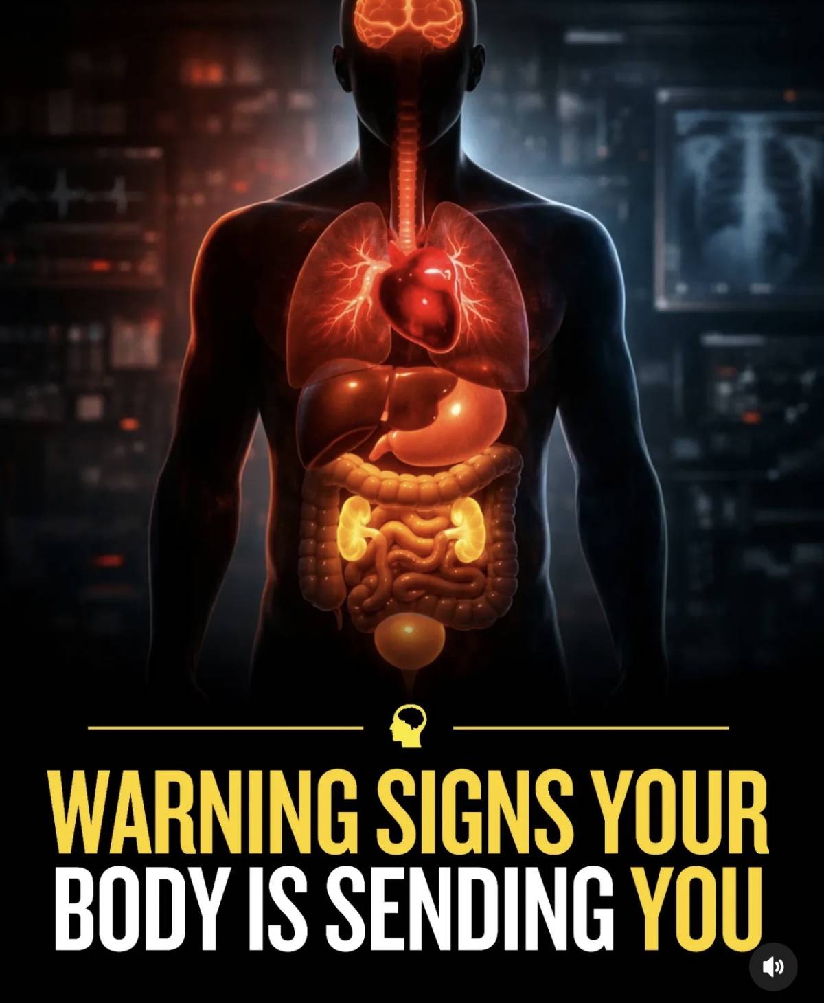 Listen to your Body…