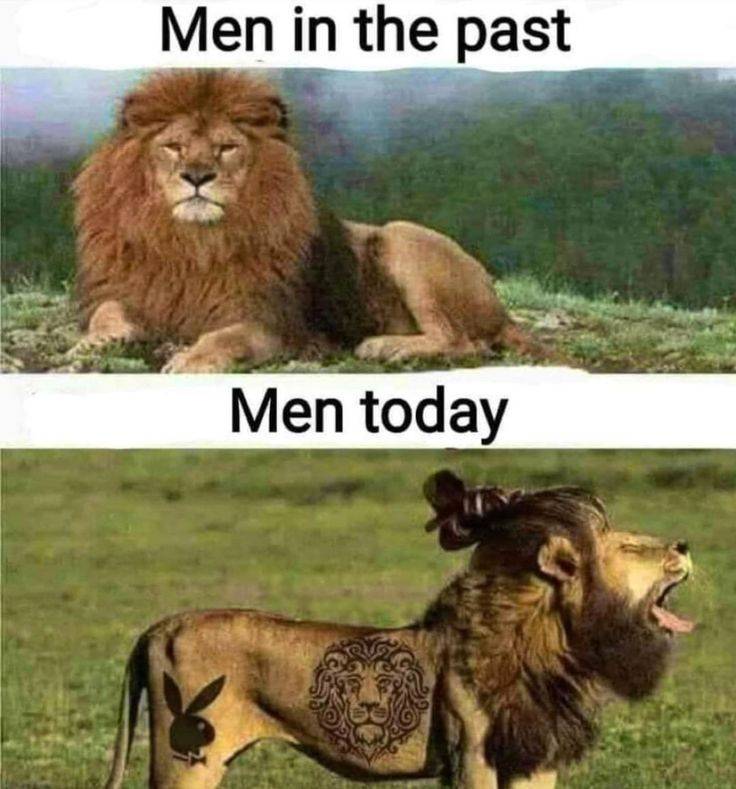 True or false?