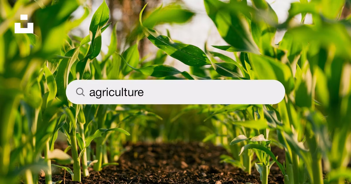 Lesson 1
Agriculture and Agribusiness seem to be used interchangeably sometimes. But let us dissect...
