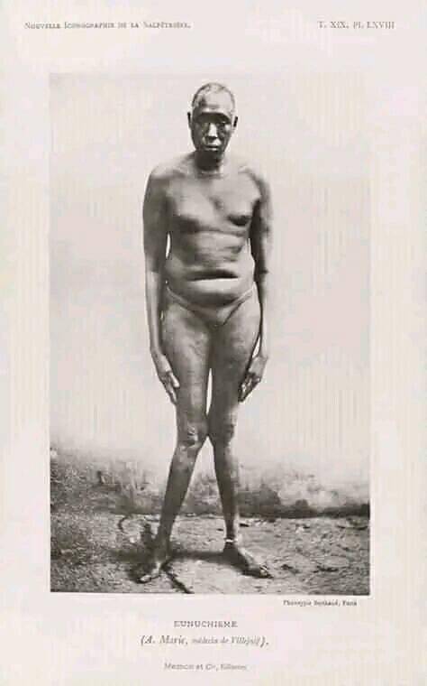 The people who did this to our ancestors committed a grave crime against humanity.
What is your take...