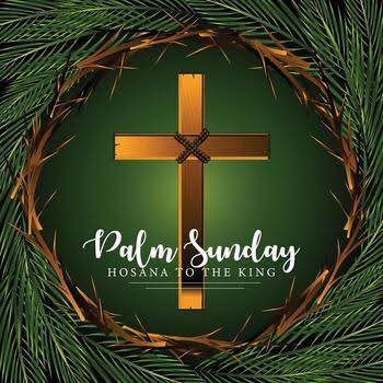 Blessed is he who comes in the name of the Lord. Hosanna in the highest.