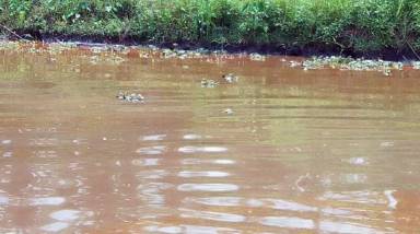 Ijaw Youths Give Abuja 60 Days To Act On Oil Pollution, Signal Support For Tinubu, Fubara In 2027
#...