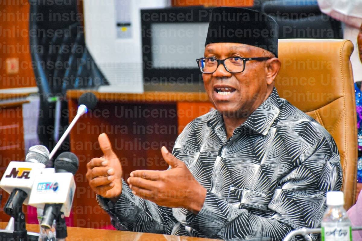 We Don't Want Any Technical Glitch Again, Obi Tells National Assembly