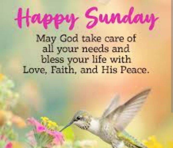 Happy Sunday
