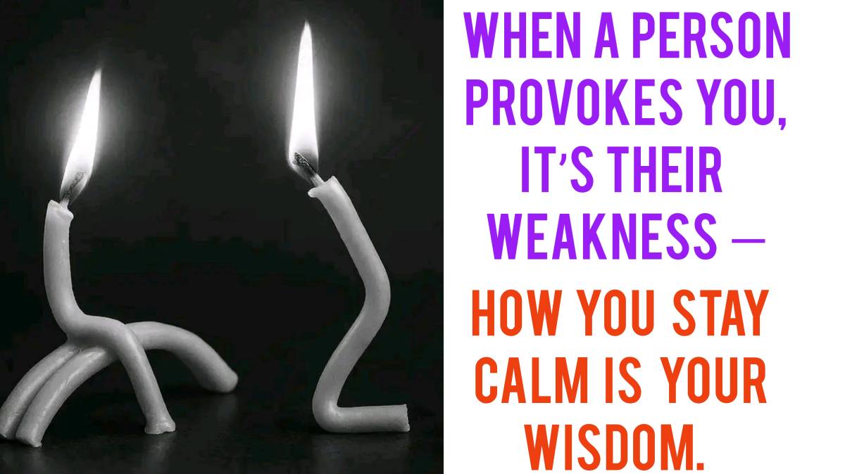 Provocation often serves as a "transfer of discomfort," where the provoker externalizes their own in...