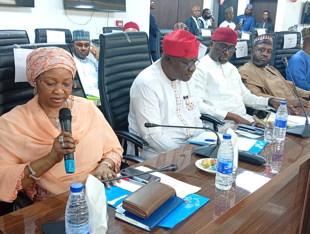 Senator Nenadi Usman has been officially recognised by INEC as the authentic leader of the Labour pa...