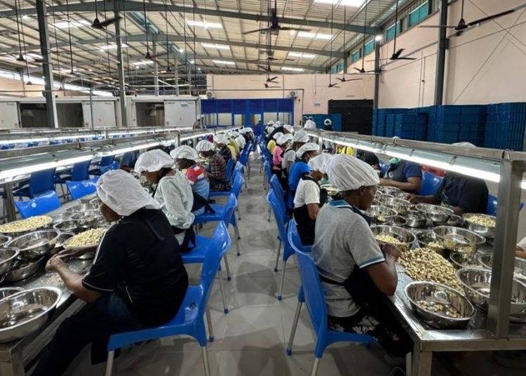 In another development, Robust International Pte Ltd is set to construct a new $75 million (₦102 bil...