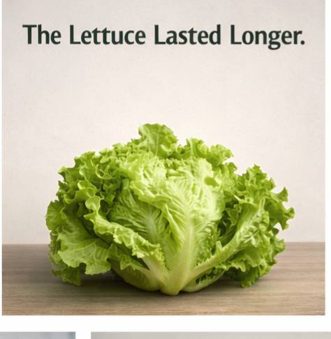 In the United Kingdom, a lettuce became more famous than the Prime Minister.
People compared how lon...