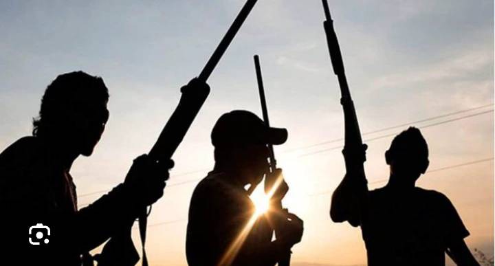 Adamawa: Armed Men Carry Out Devastating Assault, Kills Scores Including Governor Fintiri's Cousin....