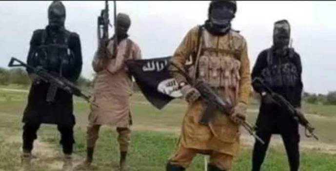 There is no political will to decimate terrorists who continue to unleash violence on innocent-Group...